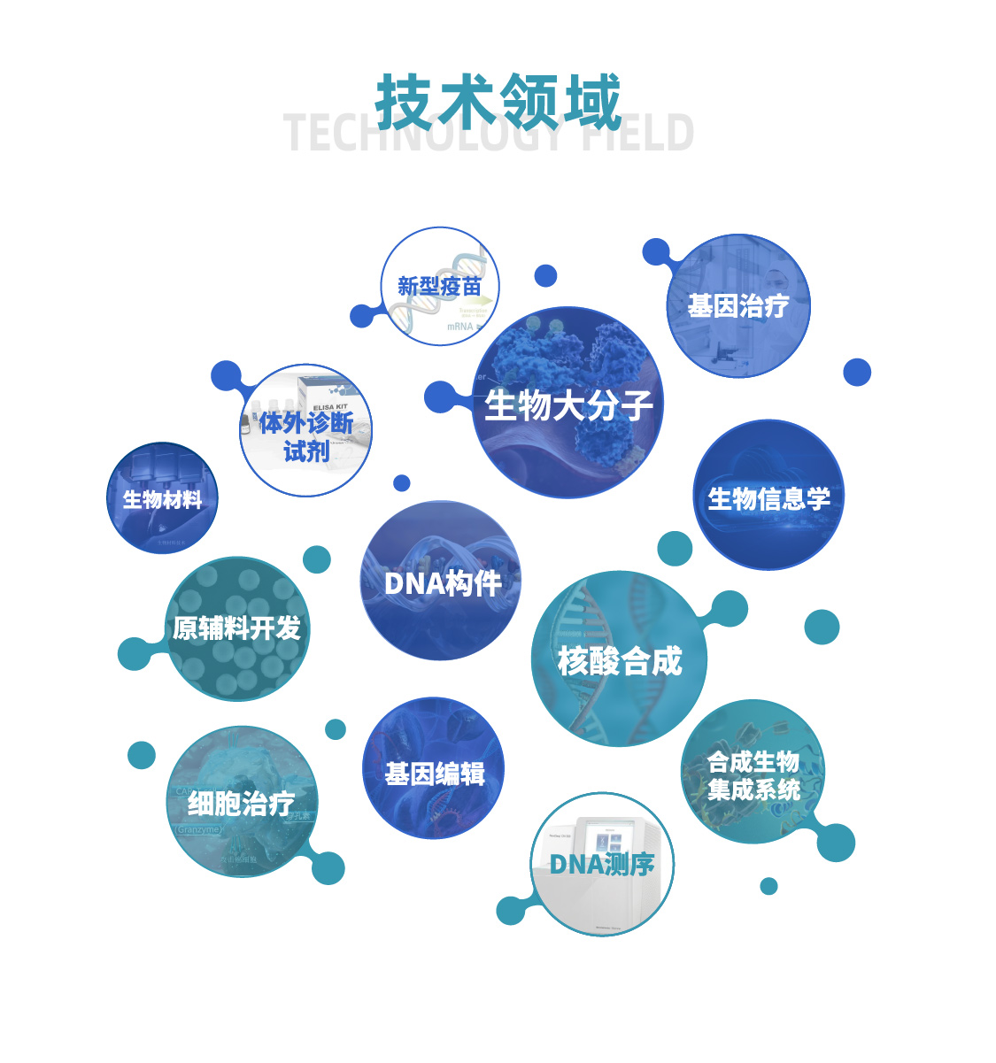 bwin - 专业体育赛事直播与资讯平台